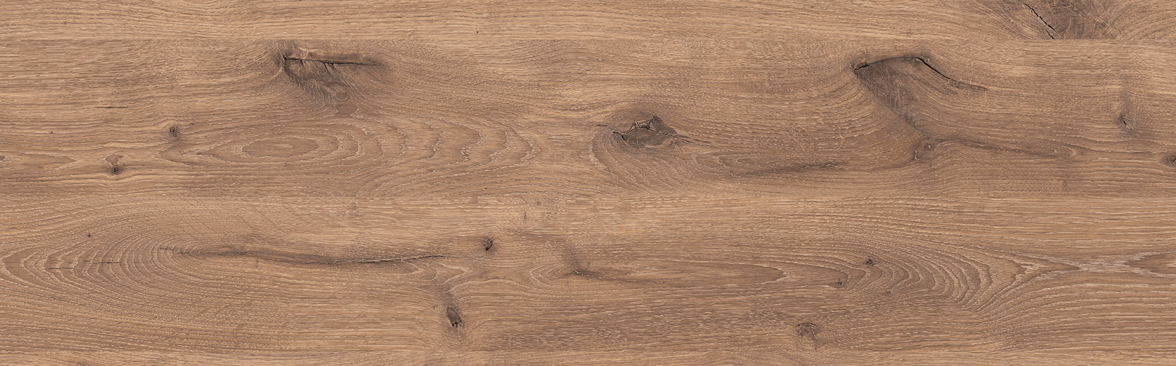 205 Vikings Oak reproduction