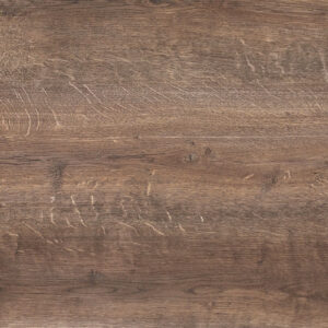 225 Stem oak reproduction