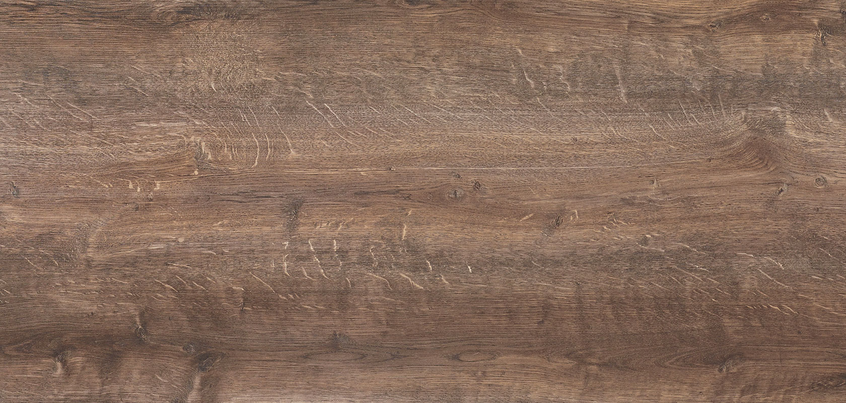 225 Stem oak reproduction