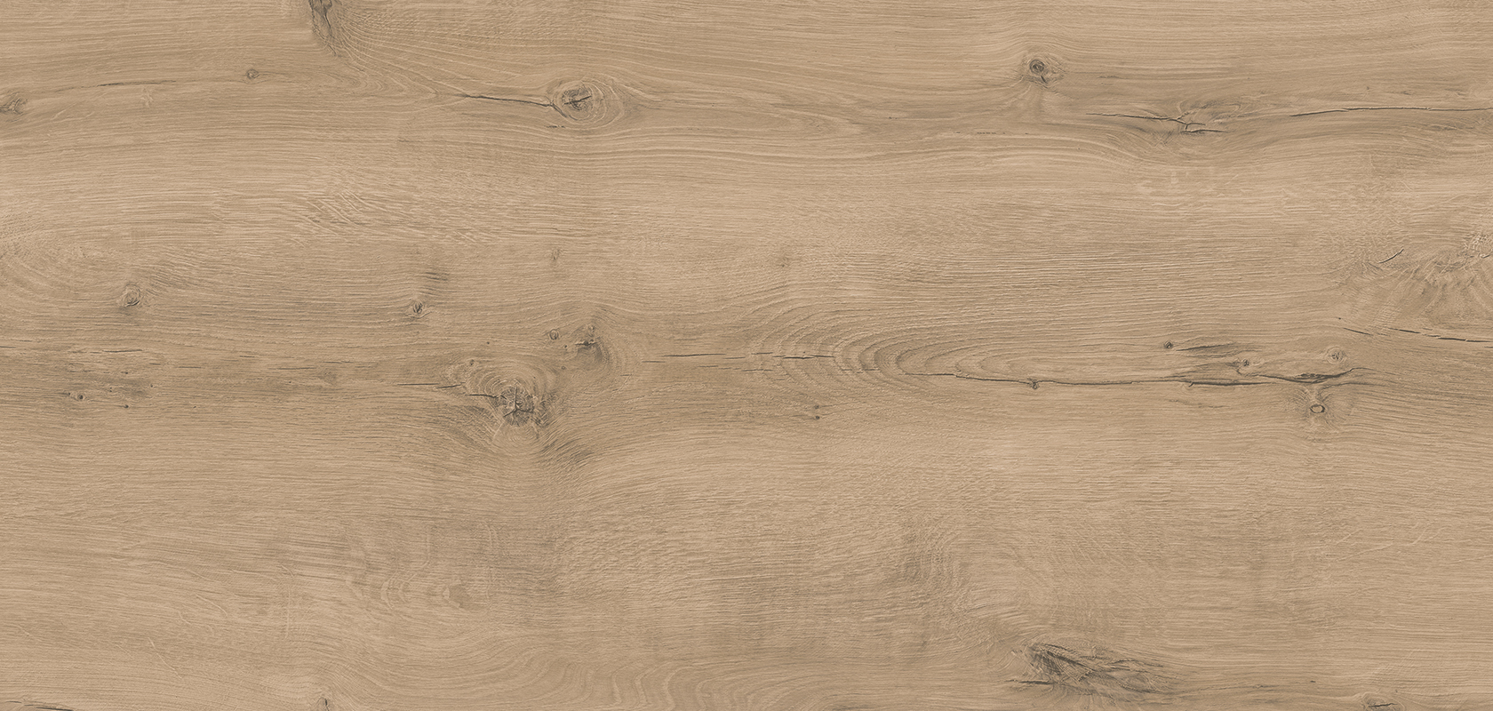 392 Nevada oak reproduction